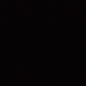 Meet your Posher, Talia